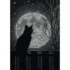 Black Moon Cat Counted Cross Stitch Kit -Black Sheep Wool 70 65212 1