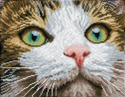 Diamond Dotz Diamond Painting Kit: Green Eyed Beauty
