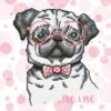 Diamond Dotz Diamond Painting Kit: Hug A Pug 1 Diamond Dotz Diamond Painting Kit: Hug A Pug -Black Sheep Wool DD7 035