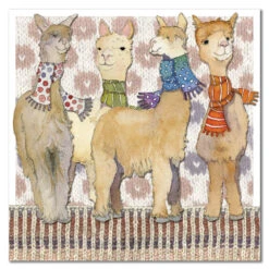 Emma Ball Greetings Card - Alpacas