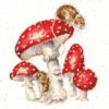 The Fairy Ring - Cross Stitch Kit -Black Sheep Wool XHD101 The Fairy Ring Small 1f58e56e0d5cf6cae41b314d3b9650fc
