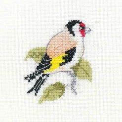 Goldfinch
