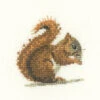 Red Squirrel -Black Sheep Wool lfrs1149