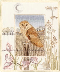 Barn Owl